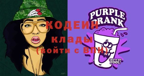 дмт Пестово