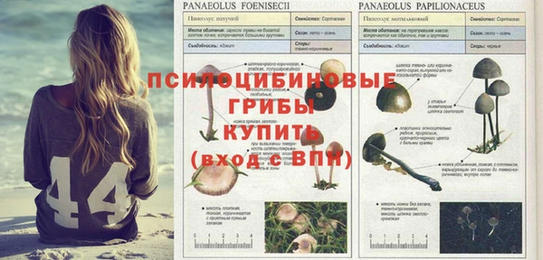 мефедрон мука Вяземский